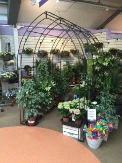 Poppy Forge Gothic Tunnel 8 Poppy Forge Gothic Tunnel -Outdoor Furniture Shop 53258 26528