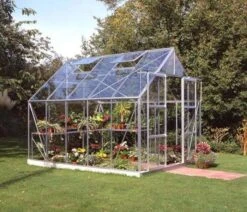 Halls Greenhouses Magnum